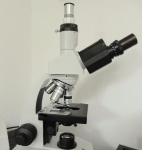donkerveld microscoop